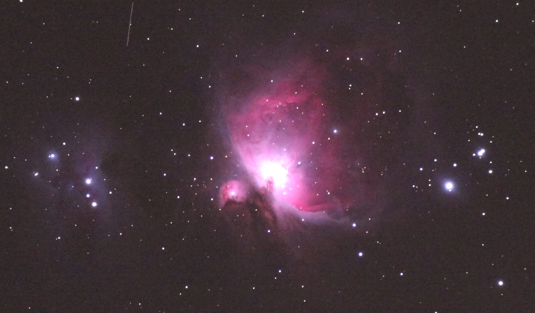 Der Orionnebel M42 (Foto: Mattis Harreiter, MSK Astronomie)